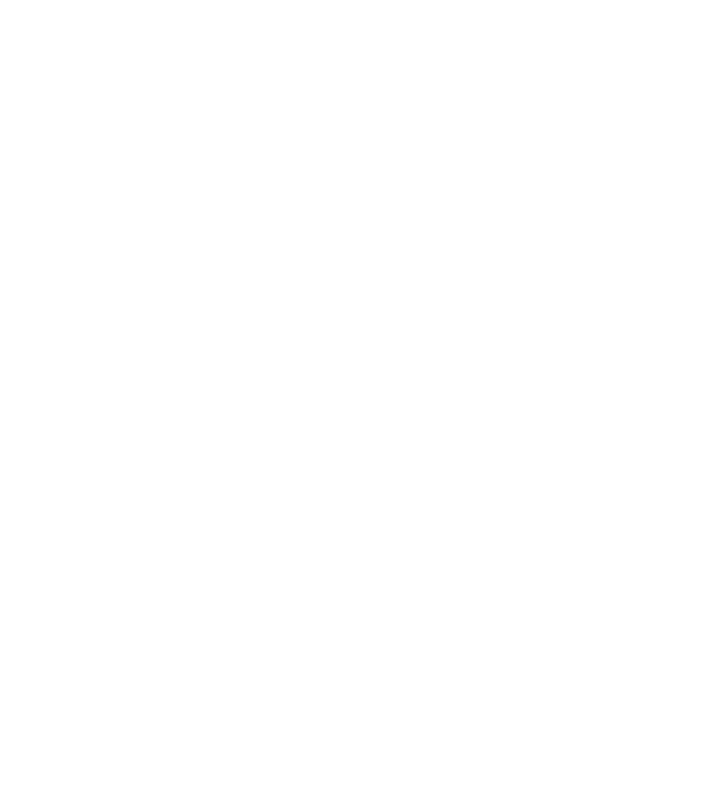 vector 2